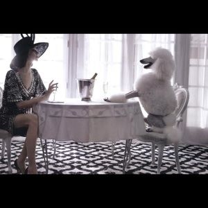 Meet your Posher, Candyce